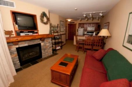 Deluxe One-Bedroom Condo interior